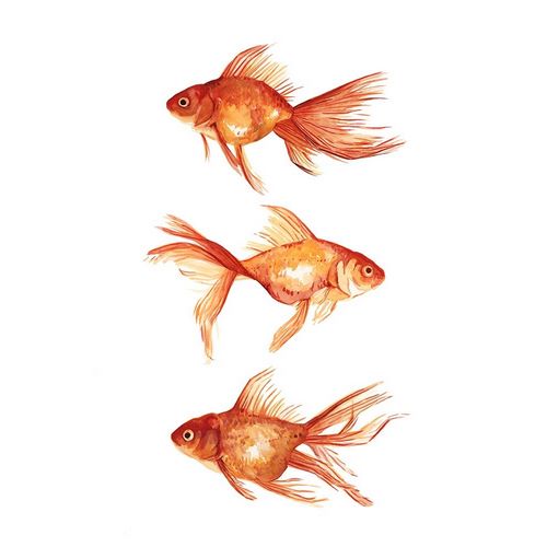 Ornamental Goldfish III