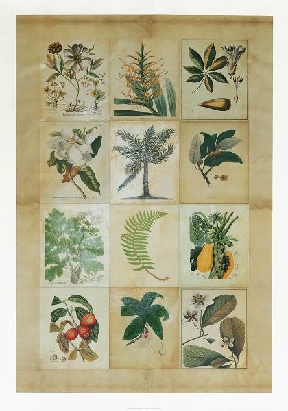 Botanical Sampler I