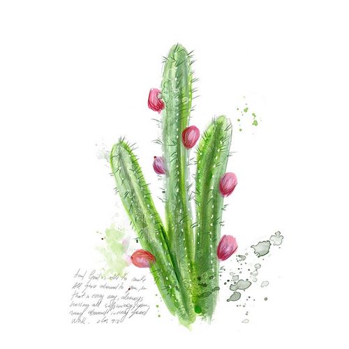 Cactus Verse II