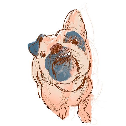 Dog Portrait--Bobo