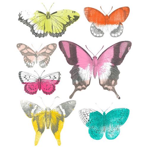 Chromatic Butterflies II