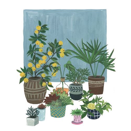 A Portrait of Plants II