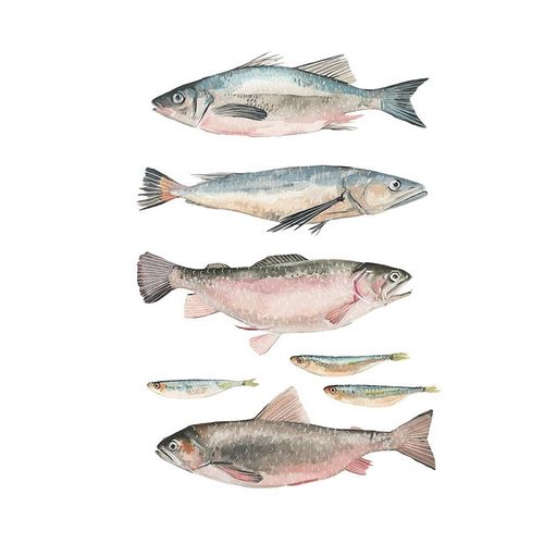 Fish Composition I
