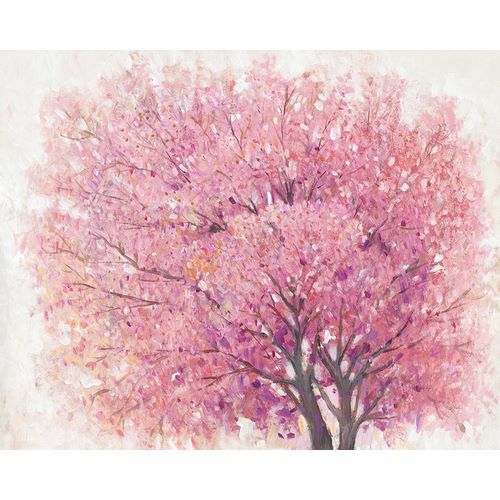 Pink Cherry Blossom Tree II