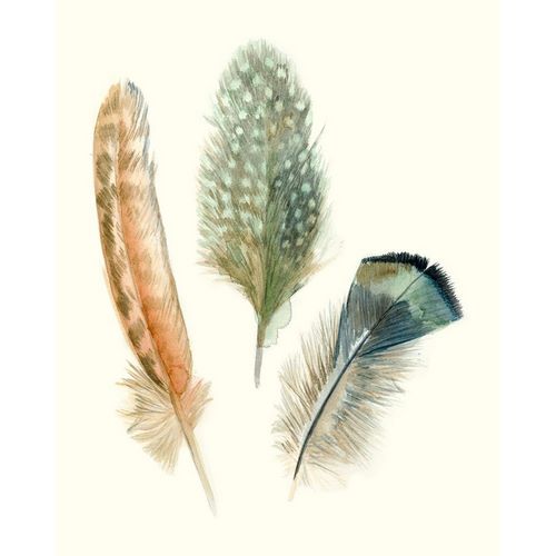 Watercolor Feathers I