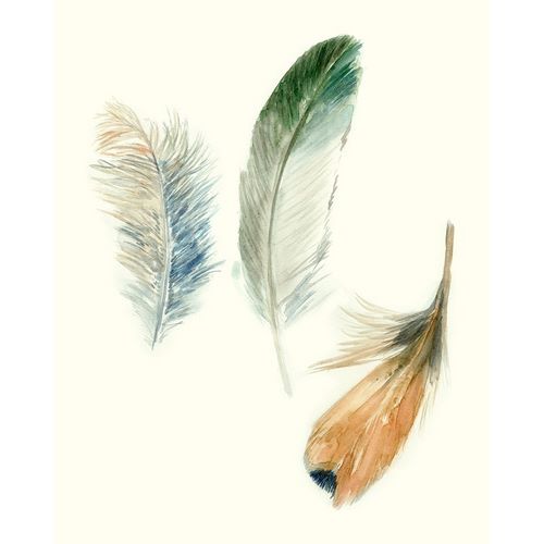 Watercolor Feathers II
