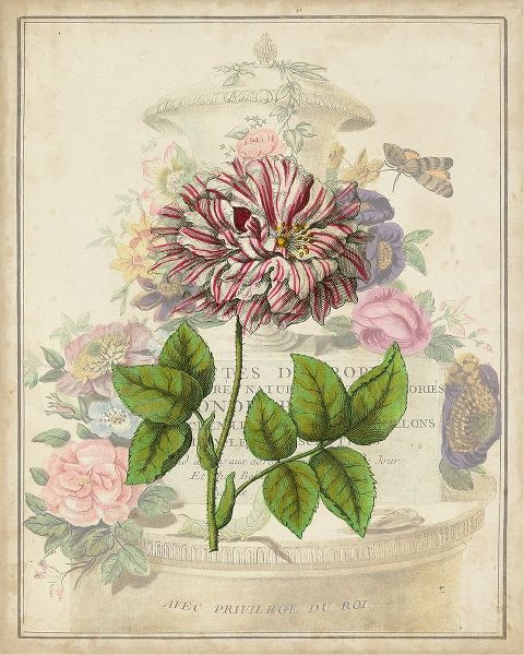 Vintage Rose Bookplate