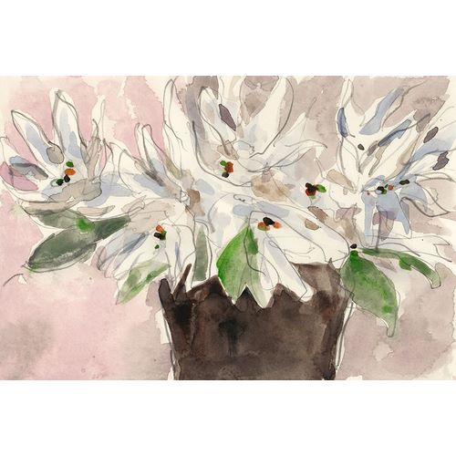 Magnolia Watercolor Study I