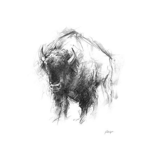 Western Animal Sketch I