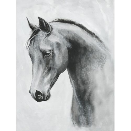 Cavallo II