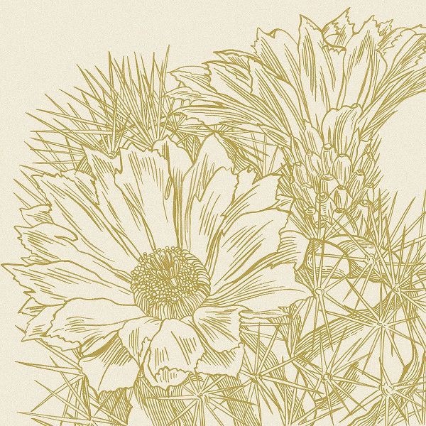 Wang, Melissa 아티스트의 Graphic Cactus Bloom I작품입니다.