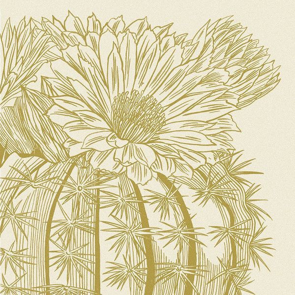 Wang, Melissa 아티스트의 Graphic Cactus Bloom II작품입니다.