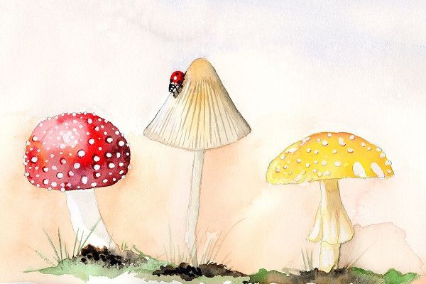 Faerie Mushrooms I