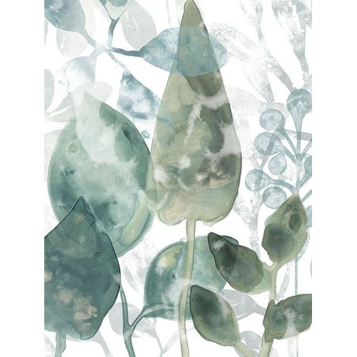 Aquatic Leaves II