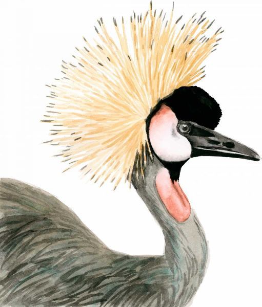 Watercolor Crested Crane
