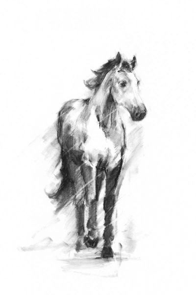 Dynamic Equestrian II