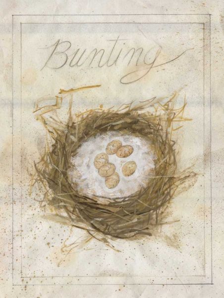 Nest - Bunting