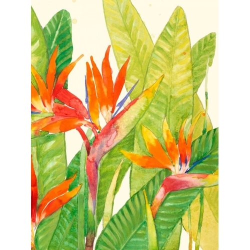 Watercolor Tropical Flowers IV
