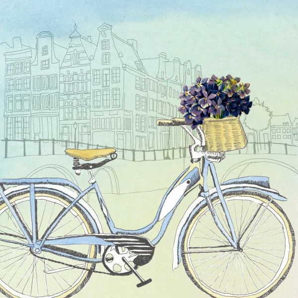 Biking Through Amsterdam