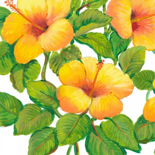 Watercolor Hibiscus III