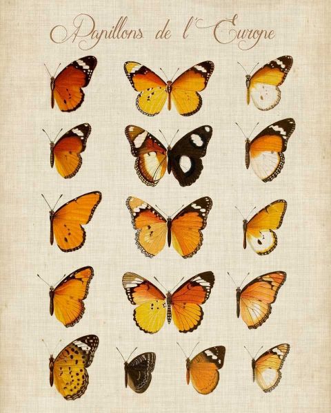 Papillons de LEurope II