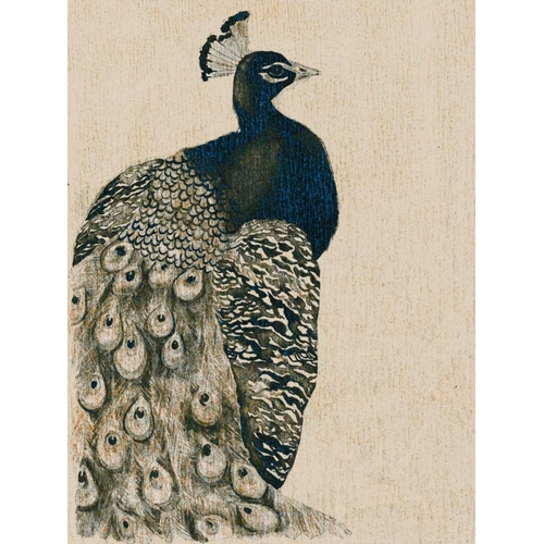 Textured Peacock I