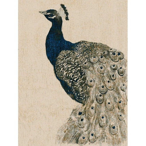 Textured Peacock II
