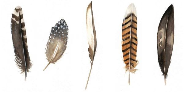 Red Rock Feathers II