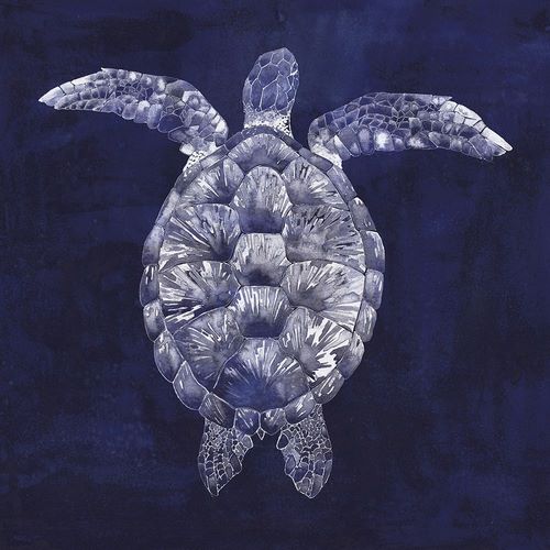 Custom Sea Turtle Shadow I (ASH)