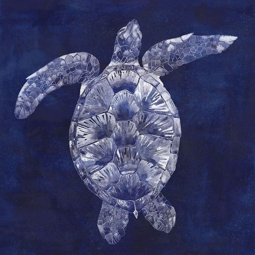 Custom Sea Turtle Shadow II (ASH)