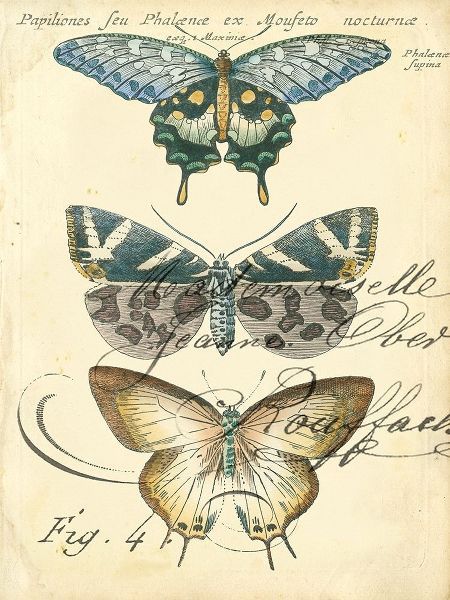 Zarris, Chariklia 아티스트의 Custom Butterfly Ephemera IV (GC) 작품