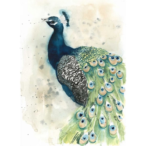 Watercolor Peacock Portrait II