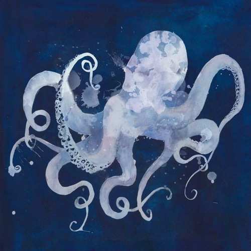 Octopus Shadow II