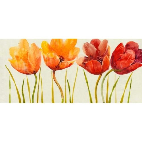Row of Tulips I