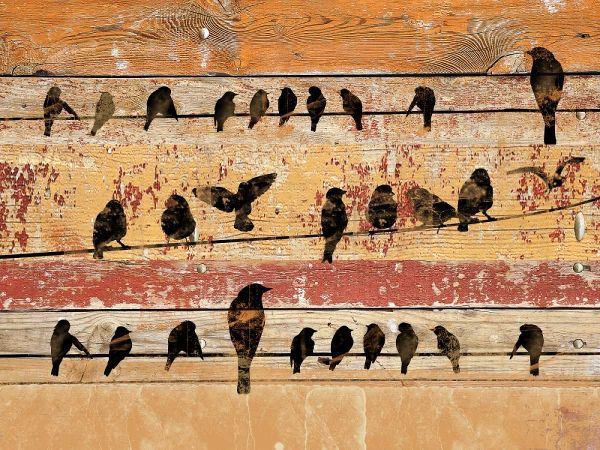 Birds on Wood V
