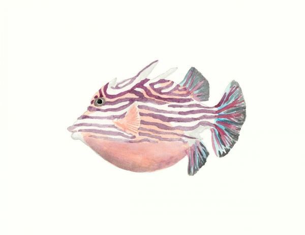 Watercolor Tropical Fish II