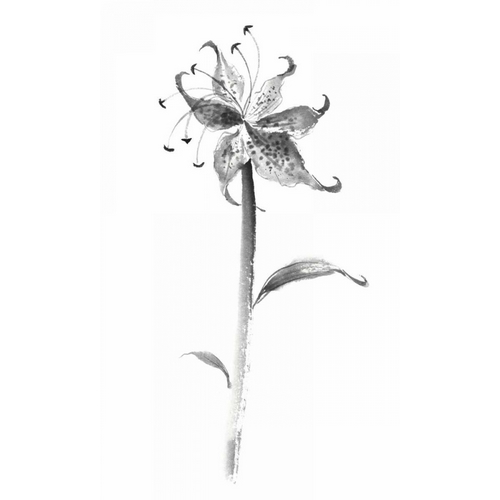 Ink Tiger Lily