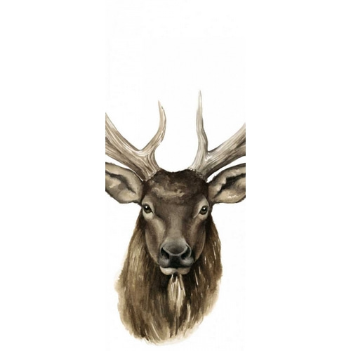 Triptych Elk II