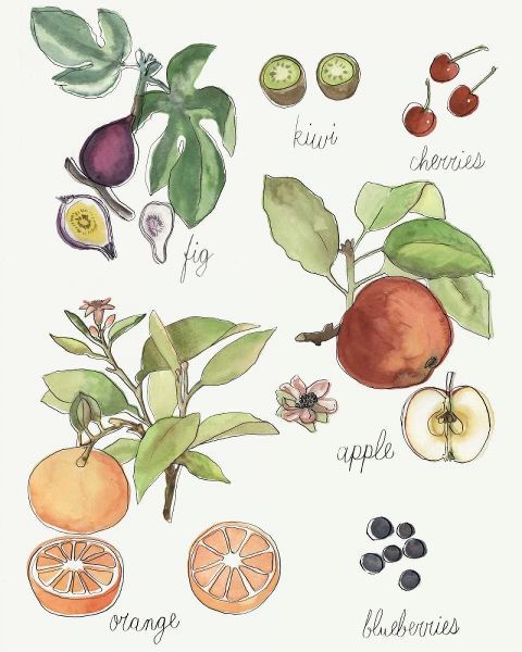Fruit Medley I