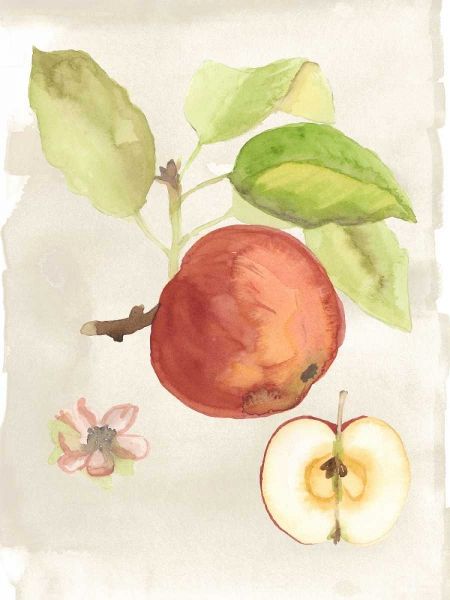 Watercolor Fruit IV