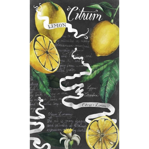Chalkboard Citrus I