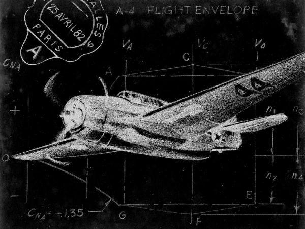 Flight Schematic II