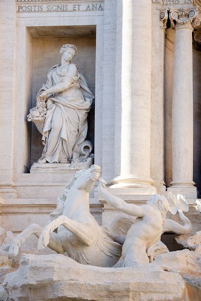 Trevi Fountain in Afternoon Light II