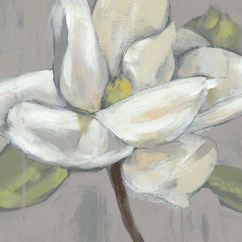 Magnolia on Grey