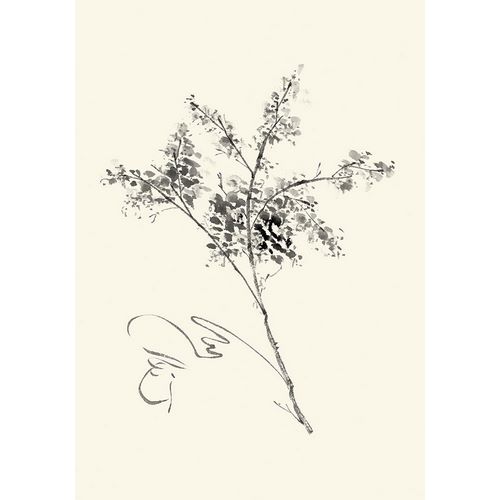 Ink Wash Floral VII - Forsythia