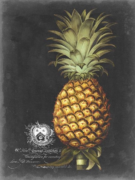 Royal Brookshaw Pineapple I