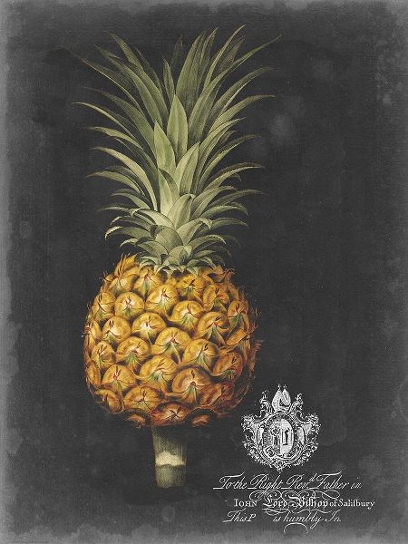 Royal Brookshaw Pineapple II