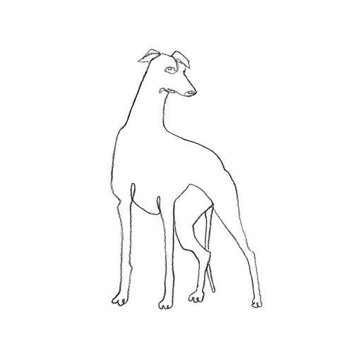 Scarvey, Emma 아티스트의 Greyhound Pencil Sketch I작품입니다.