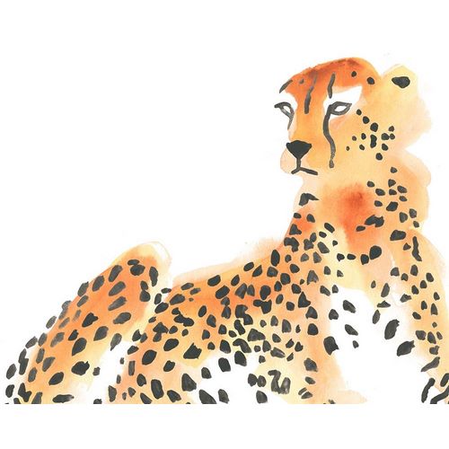 Majestic Cheetah I