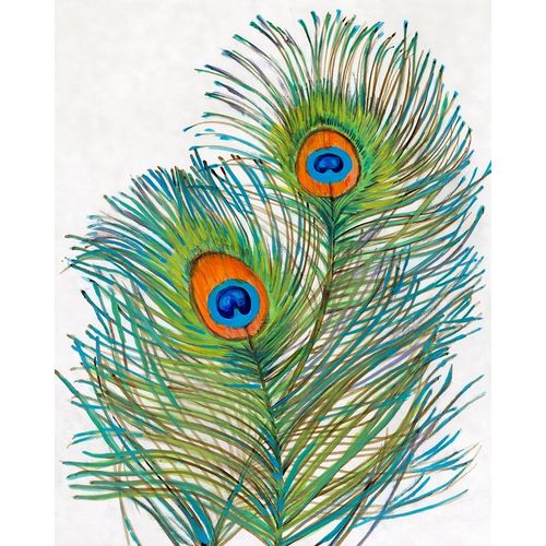 Vivid Peacock Feathers I